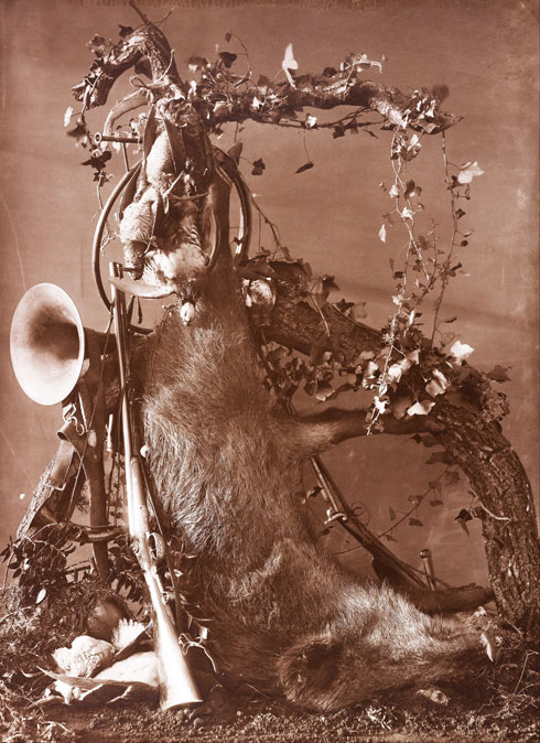 Adolphe Braun, Trophée de chasse au sanglier